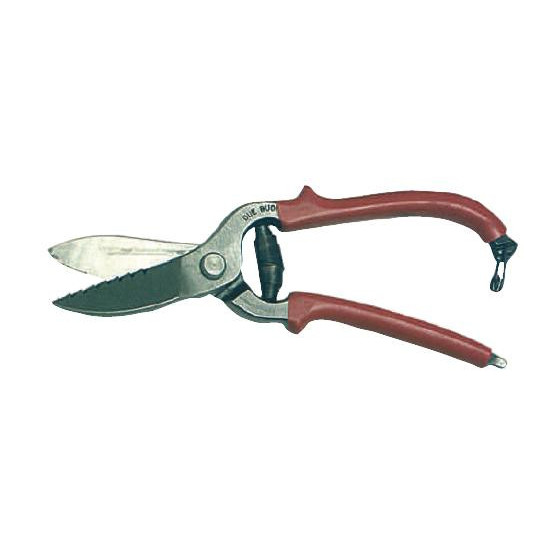 Shears extra \"Due buoi\" Dx 230 mm