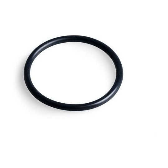 Gasket OR 3100 - Cod. 02001240