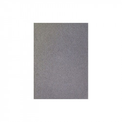 Nouveau Zenit tapis gris 4,2 mm - Conveyor - toile intérieure au rouleau - Prix au m²