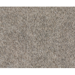Hard carpet from 4mm - price per square meter